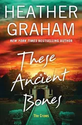 Cover of These Ancient Bones