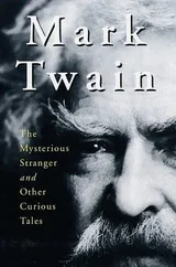 Cover of The Mysterious Stranger and Other Curious Tales
