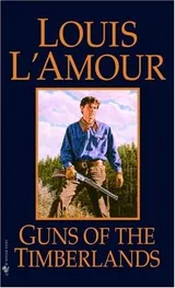 Cover of Guns of the Timberlands