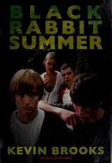 Cover of Black Rabbit Summer