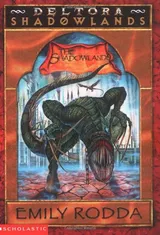 Cover of The Shadowlands
