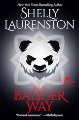 Cover of In a Badger Way