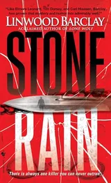 Cover of Stone Rain