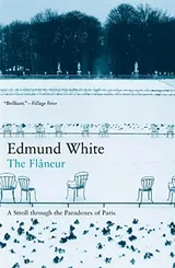 Cover of The Flaneur: A Stroll through the Paradoxes of Paris
