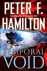 Cover of The Temporal Void