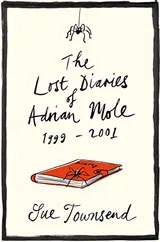 Cover of The Lost Diaries of Adrian Mole, 1999-2001