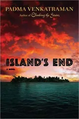 Cover of Island's End