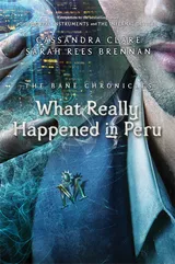 Cover of What Really Happened in Peru