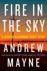 Cover of Fire in the Sky