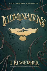Cover of Illuminations