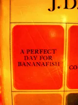 Cover of A Perfect Day for Bananafish