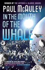 Cover of In the Mouth of the Whale