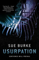 Cover of Usurpation