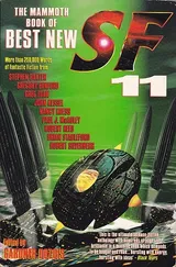 Cover of The Mammoth Book Of Best New SF 11