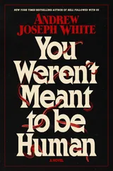 Cover of You Weren't Meant to Be Human