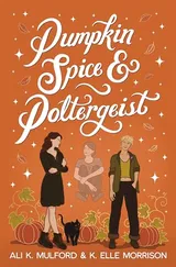 Cover of Pumpkin Spice & Poltergeist