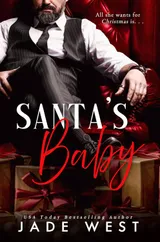 Cover of Santa's Baby