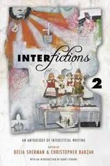 Cover of Interfictions 2: An Anthology of Interstitial Writing