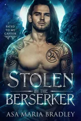Cover of Stolen by the Berserker