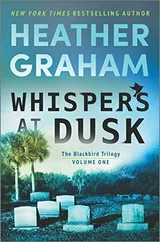 Cover of Whispers at Dusk