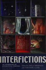Cover of Interfictions: An Anthology of Interstitial Writing