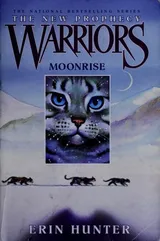 Cover of Moonrise
