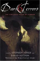 Cover of Dark Terrors 6: The Gollancz Book of Horror