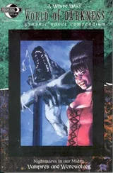 Cover of World of Darkness Compendium