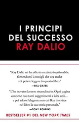 Cover of I principi del successo