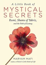 Cover of A Little Book of Mystical Secrets: Rumi, Shams of Tabriz, and the Path of Ecstasy