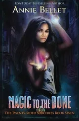 Cover of Magic to the Bone