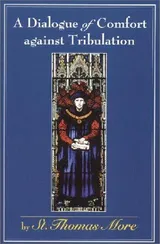 Cover of A Dialogue of Comfort Against Tribulation