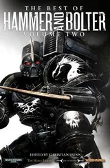 Cover of The Best of Hammer and Bolter: Volume 2