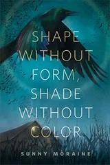 Cover of Shape Without Form, Shade Without Color