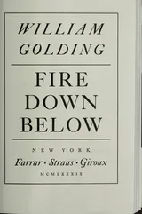 Cover of Fire Down Below