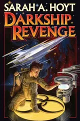 Cover of Darkship Revenge