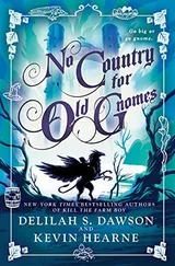 Cover of No Country for Old Gnomes