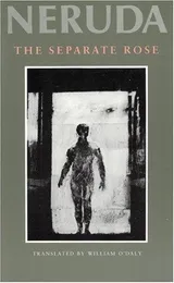 Cover of Separate Rose
