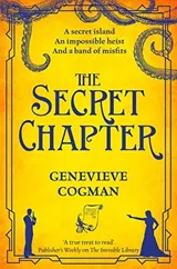 Cover of The Secret Chapter