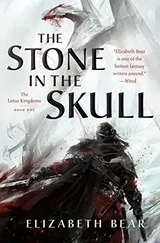 Cover of The Stone in the Skull