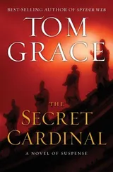 Cover of The Secret Cardinal