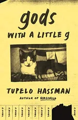 Cover of gods with a little g