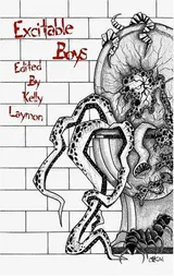 Cover of Excitable Boys