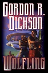 Cover of Wolfling