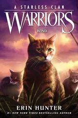 Cover of Wind