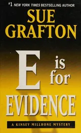 Cover of E is for Evidence