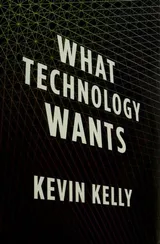 Cover of What Technology Wants