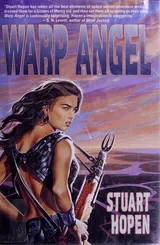 Cover of Warp Angel