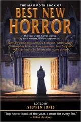 Cover of The Mammoth Book of Best New Horror, #12