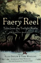 Cover of The Faery Reel: Tales from the Twilight Realm